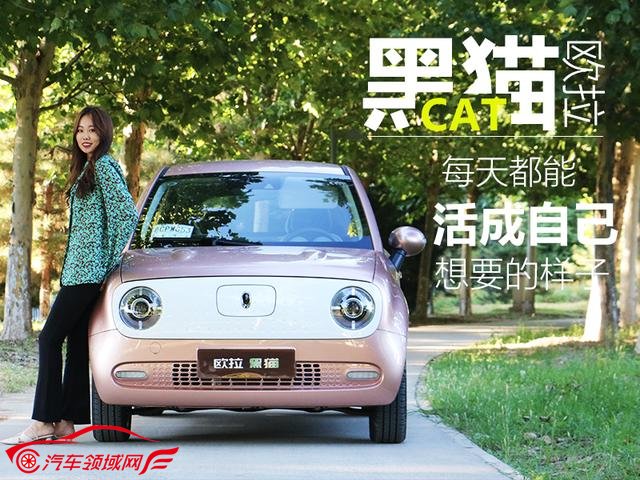  遇见欧拉黑猫 一场像极了“爱情”的邂逅