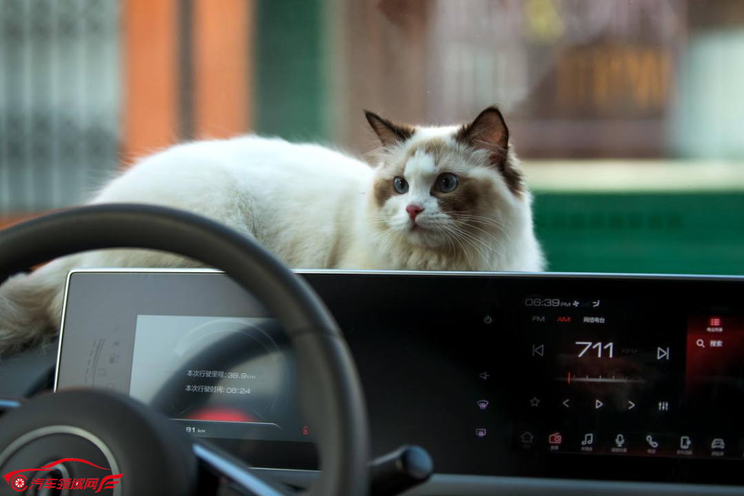 深耕“她”需求,闪电猫朋克猫以魔幻科技吃透“半边天”
