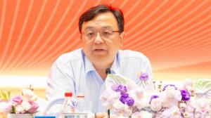 比亚迪王传福: 我们绝不拉踩同行，这是原则